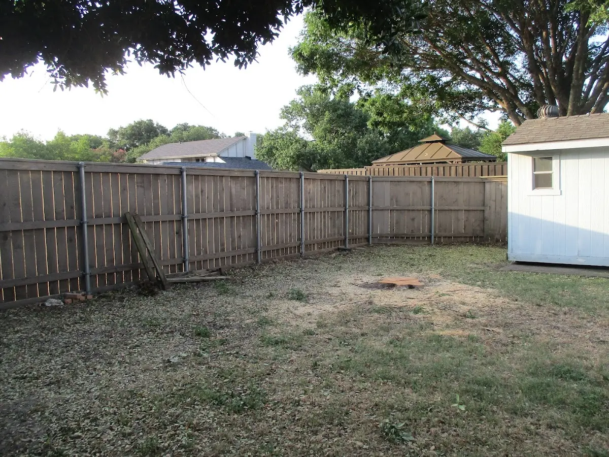 Cleared yard after professional tree removal in Worthington